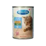 Winston Chunks In Sauce 400g