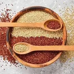 Quinoa