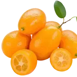 Orange Kumquat