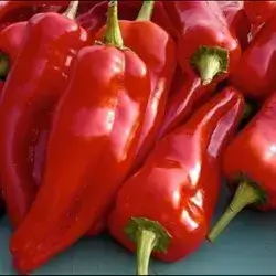 Sweet Red Peper