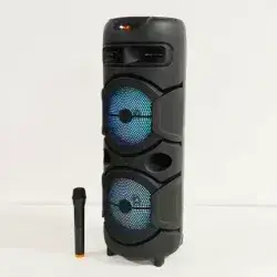 20W Output Dual 8 Inch High Power Karaoke Speakers with Dual Wireless Microphones - Ideal for Outdoor Parties & DJ Events