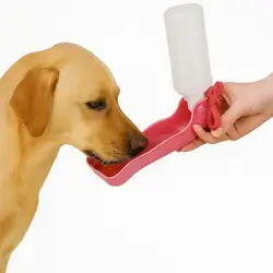 Water Bottle 500ml