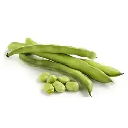 Wet Beans