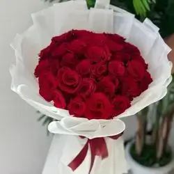 چەپکە گوڵی سووری سروشتی ڕووسی