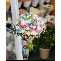 Baby Rose