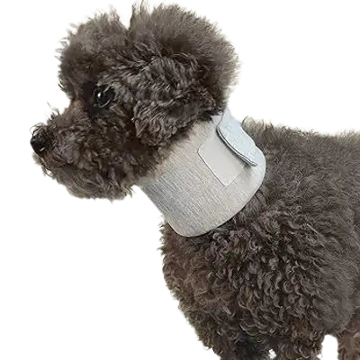 E472 pet recovery collar