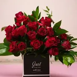 Valentine 5