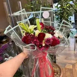 Rose, Dawoodi And Mix Lilyum