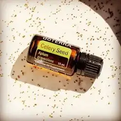 Celery Oil 