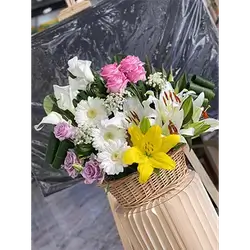 Basket Flower