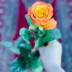 Natural Flower 1 Piece