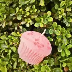 CupCake Candle