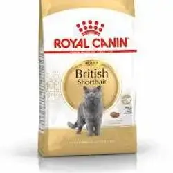Royal Canin british shorthair adult
