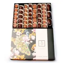 Chocolate Parrot Box