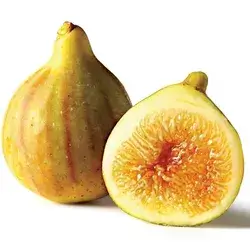 Yellow Fig