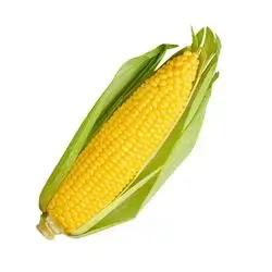 Sweet Corn, 1 Pack