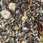 Parrot Food