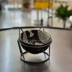 Elevated Cat Bowls With Anti-Vomit Ceramic Bowl & Metal Stand