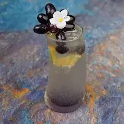 Blueberry Lemonade