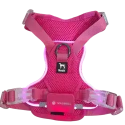 PcEoTllar LED  Harness