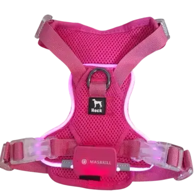 PcEoTllar LED Harness