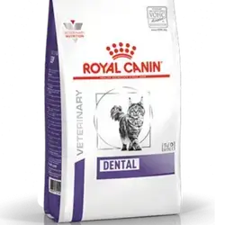 DENTAL