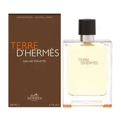 HERMES Terre D'Hermes by Hermes for Men Eau de Toilette 200ml