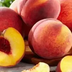 قۆخ 