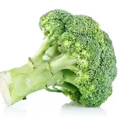  Broccoli