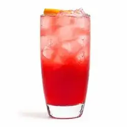 Pomegranate Mojito