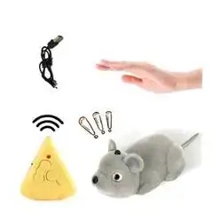 Cat Toy
