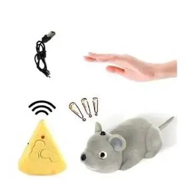 Cat Toy