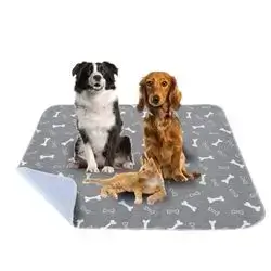Pet Pad M