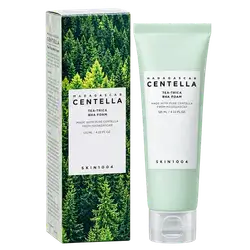 Tea-Trica BHA Foam Acne Deep Cleansing 125 ml _ MADAGASCAR CENTELLA