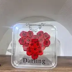 گوڵی فۆڕێڤەر
