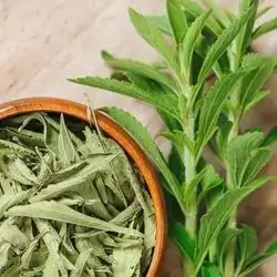 Dry Leaf Stevia