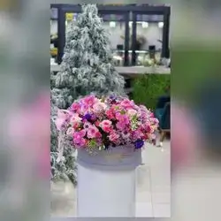 Imported Natural Flower Box