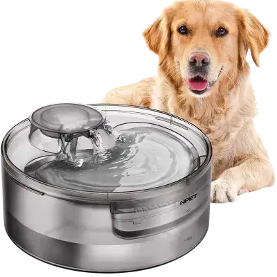NPET Dog Water Fountain 5L