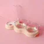 Dual Feeder & Water Dispenser