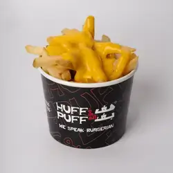 Fries & Melted Cheese
