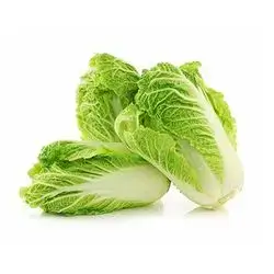 Chinese Cabbage Kg