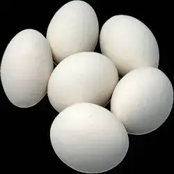 6 Eggs