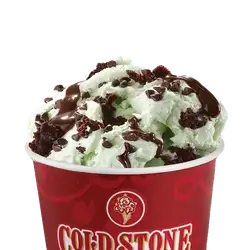Mint Mint Chocolate Chocolate Chip