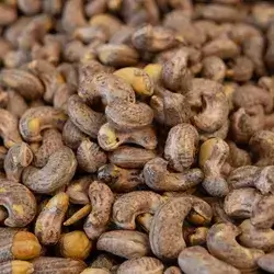 Cashew Nuts (Shell)