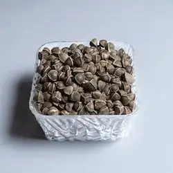 Moringa