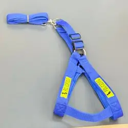 Police Dog Leash + Harness 