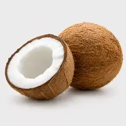 Coconut 1 Pcs