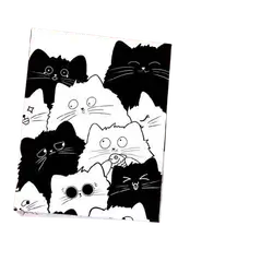 E698 Notebook