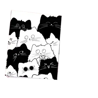 E698 Notebook