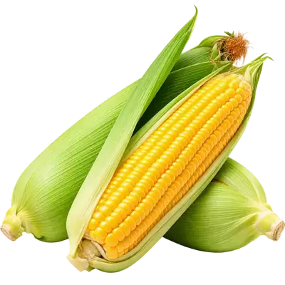 Milk Corn